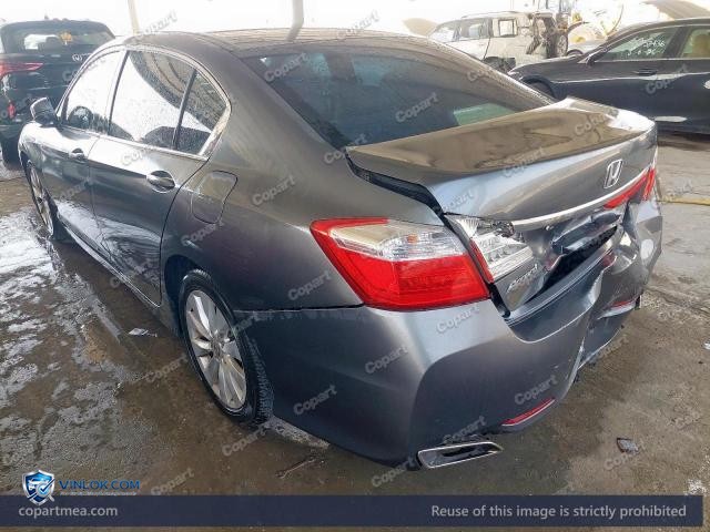 Auction photo