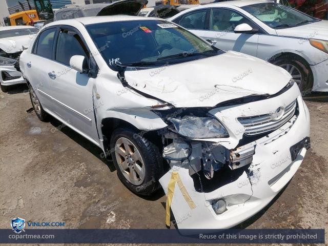 Auction photo