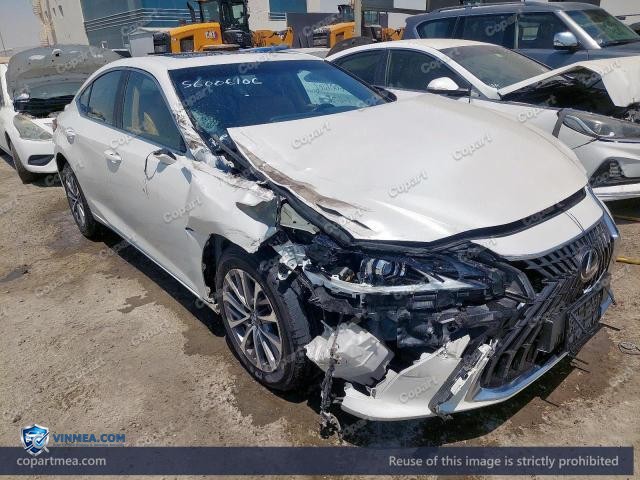 Auction photo
