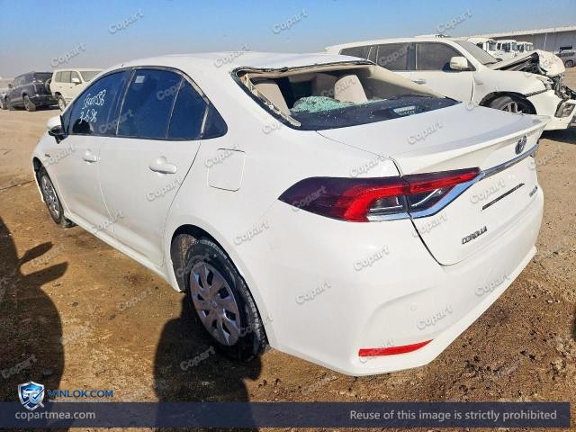 Auction photo