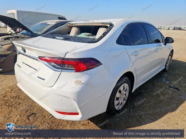 Auction photo