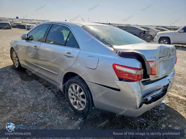 Auction photo