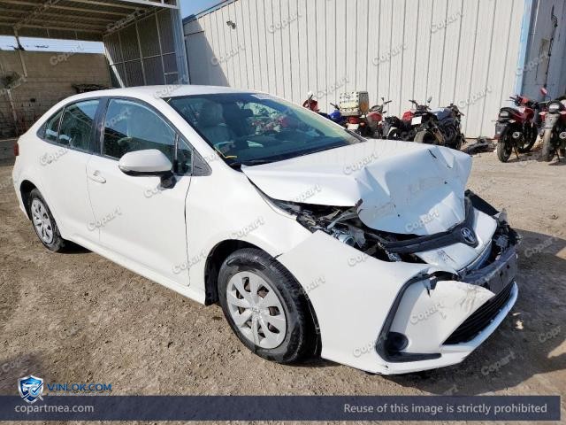 Auction photo