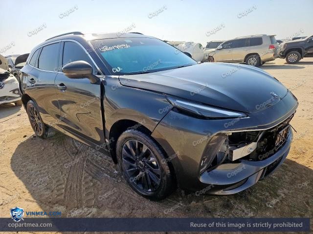 2024 DONG FORT T5EVO — Lot 56019836 auction photo