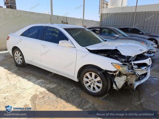 Auction photo