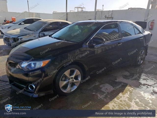 Auction photo
