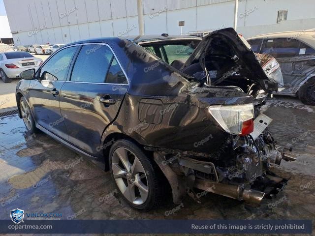Auction photo