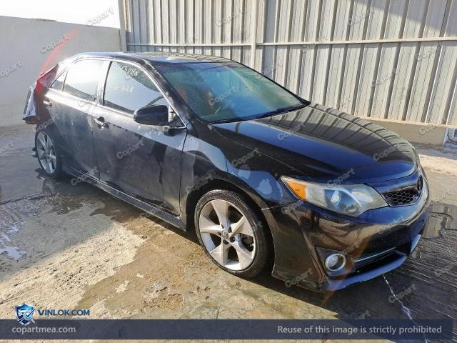 Auction photo