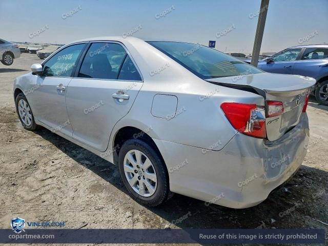Auction photo