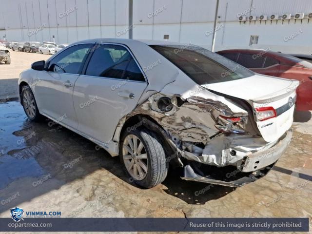 Auction photo
