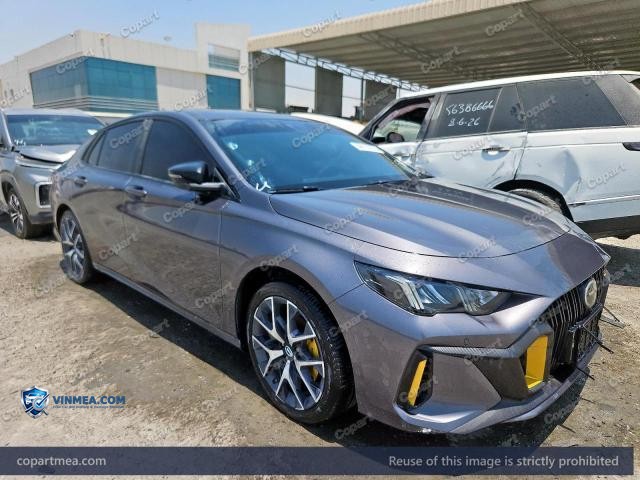 2026 GAC EMPOW — Lot 56197276 auction photo