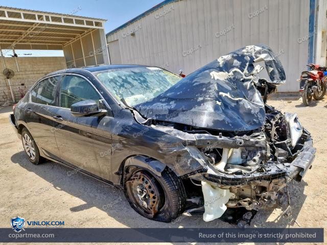 Auction photo