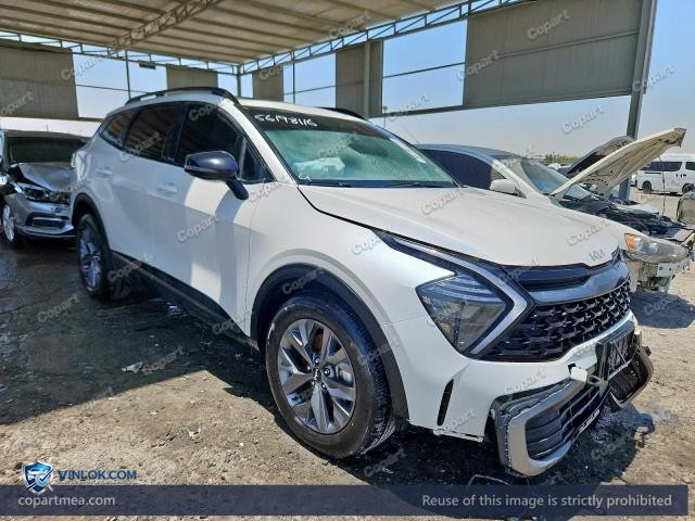 Auction photo