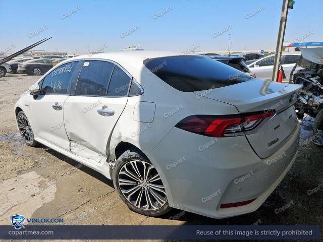 Auction photo