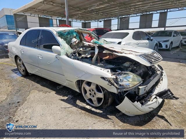 Auction photo