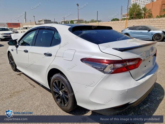 Auction photo