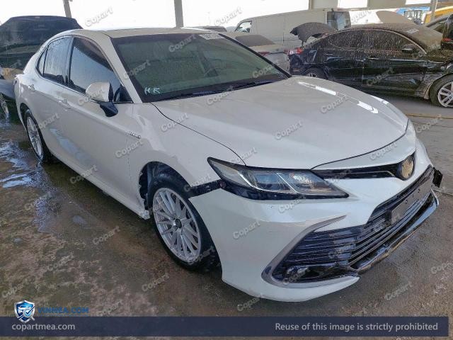 Auction photo