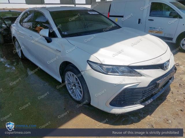 Auction photo