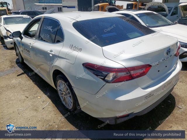 Auction photo