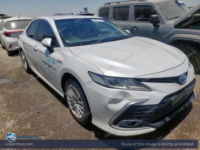 Auction photo