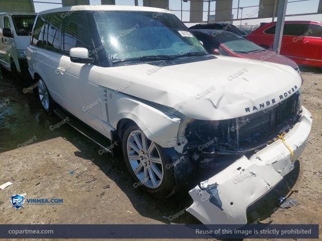 Auction photo