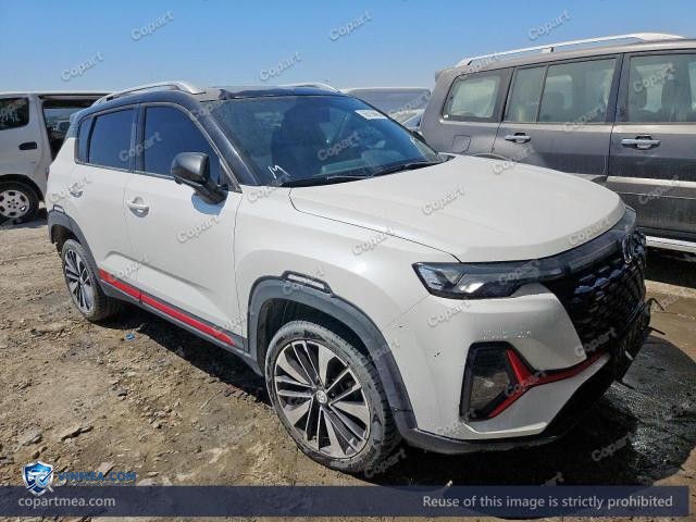 2023 CHAN CS35 — Lot 56216466 auction photo