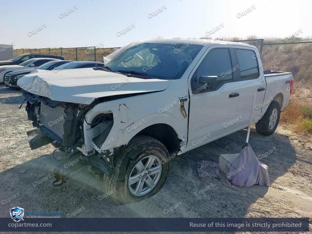 Auction photo