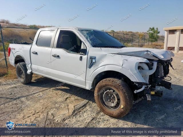 Auction photo