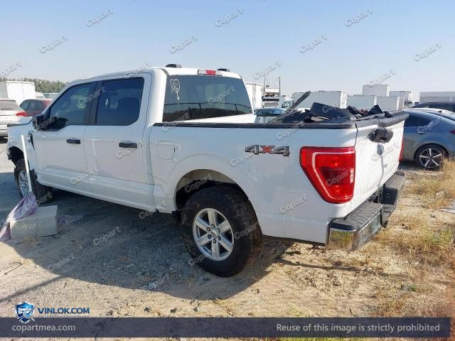 Auction photo