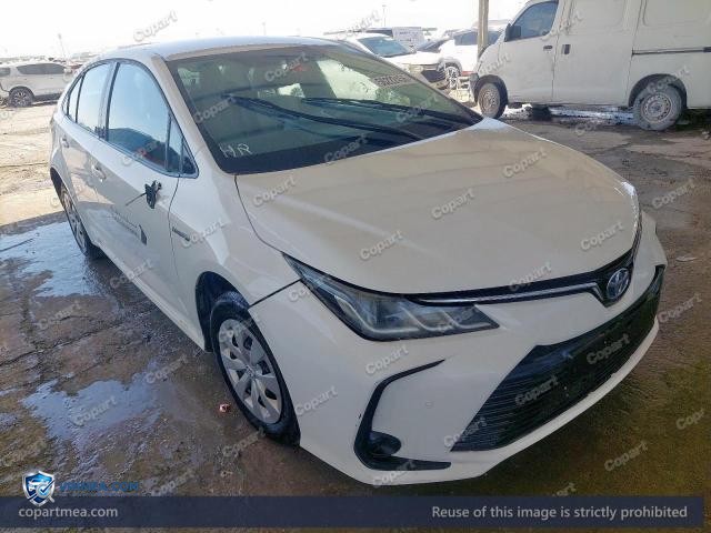 Auction photo