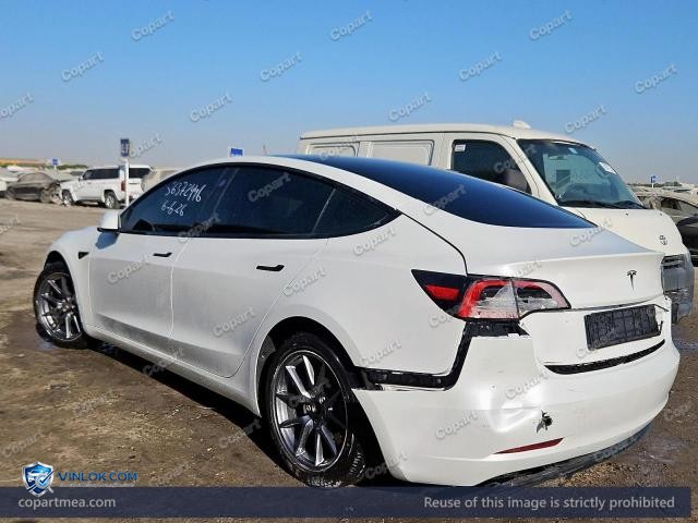 Auction photo