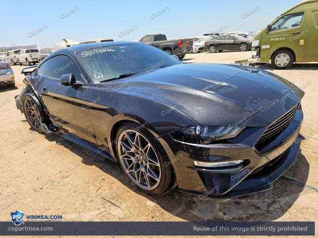 Auction photo