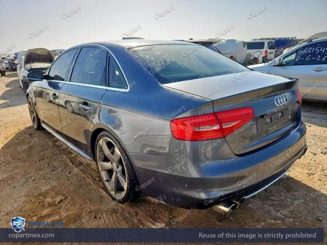 Auction photo