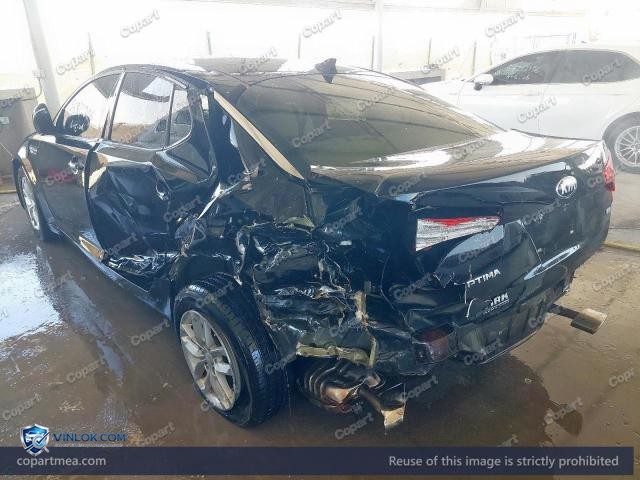 Auction photo