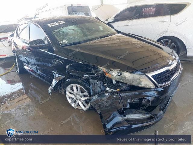 Auction photo