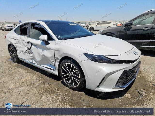 Auction photo