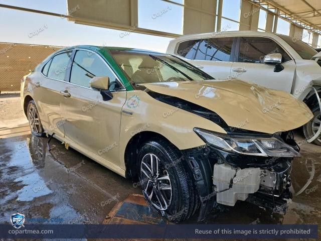 Auction photo