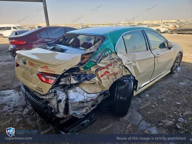 Auction photo