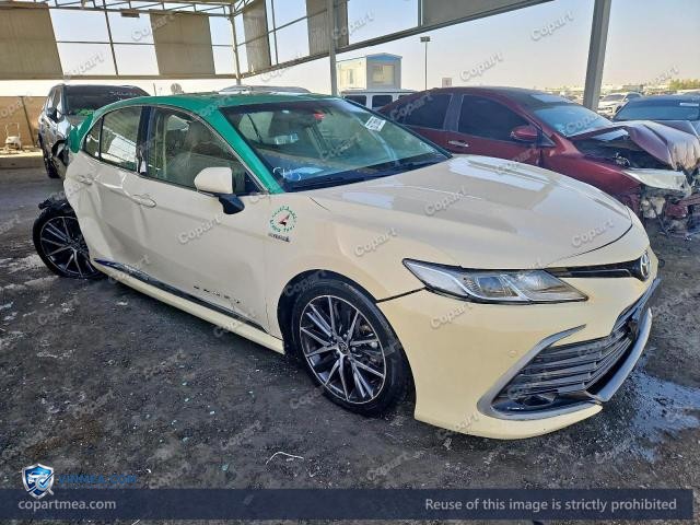 Auction photo