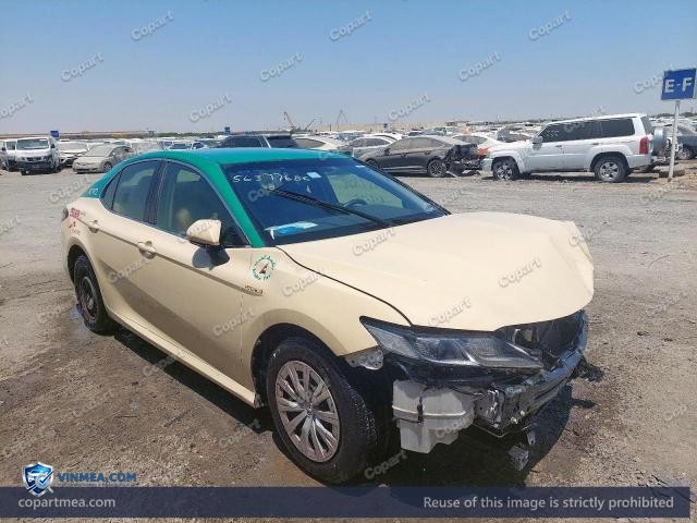Auction photo