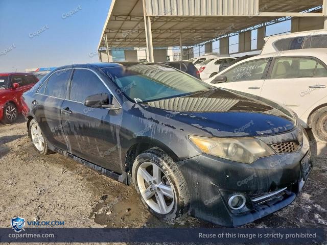 Auction photo