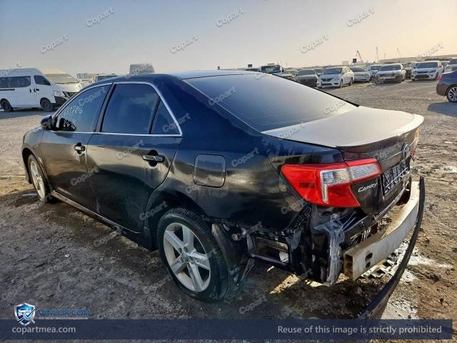 Auction photo
