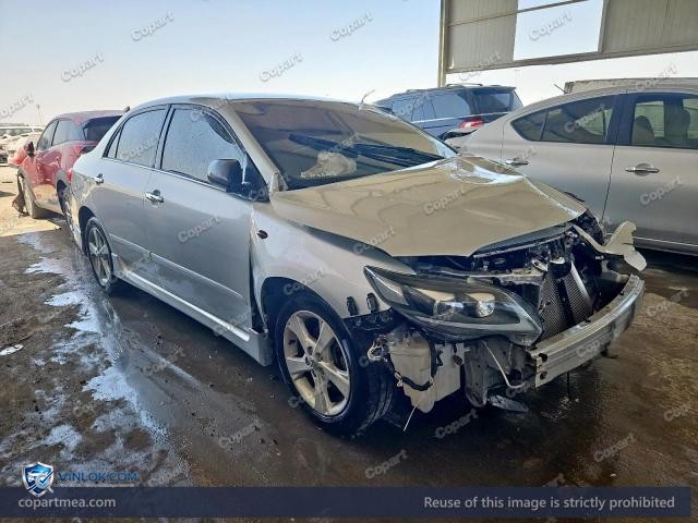 Auction photo