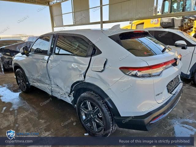 Auction photo
