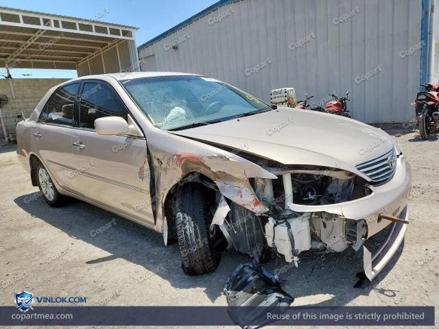 Auction photo