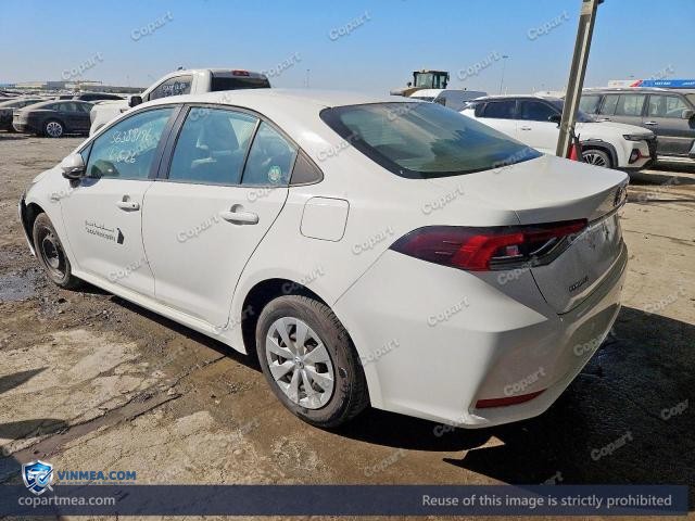 Auction photo