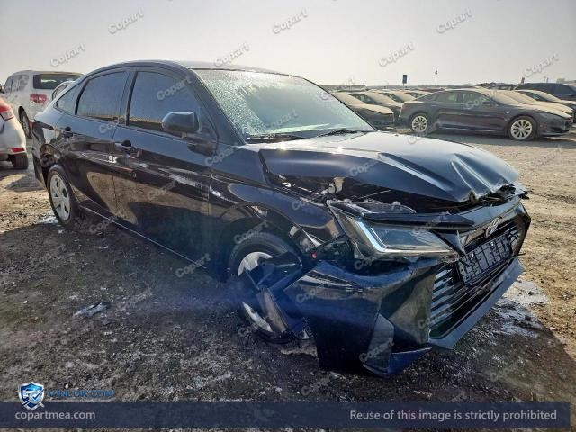 Auction photo