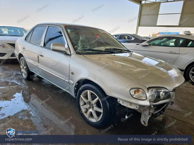 Auction photo