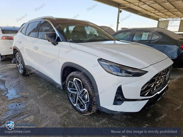 2025 MG ONE — Lot 56706646 auction photo