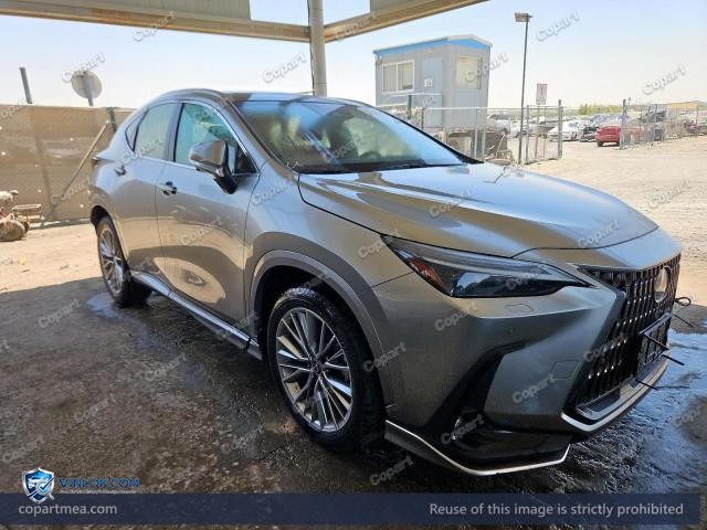 2025 LEXUS NX — Lot 56723566 auction photo